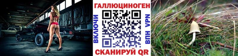 Галлюциногенные грибы Magic Shrooms  Заринск 