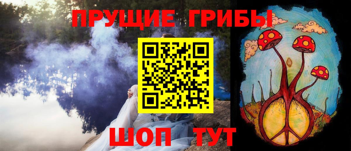 Псилоцибиновые грибы Psilocybine cubensis Заринск